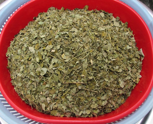 Lá Chùm Ngây Khô