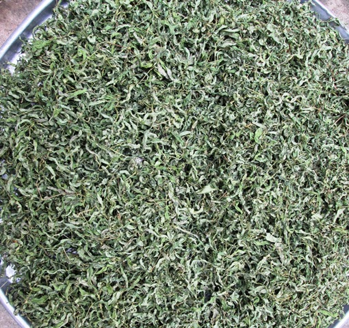 Rau Răm Khô Cao Cấp