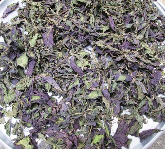 Lá Tía Tô Khô Hong Gió Cao Cấp