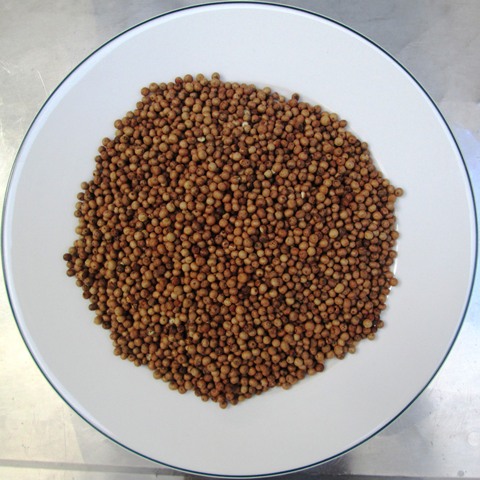 Hạt Tiêu Sọ Quế Cao Cấp