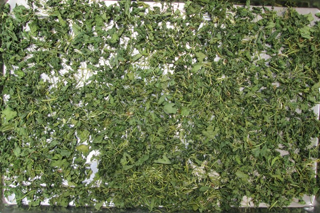 Cần Tây Hong Gió Khô Cao Cấp