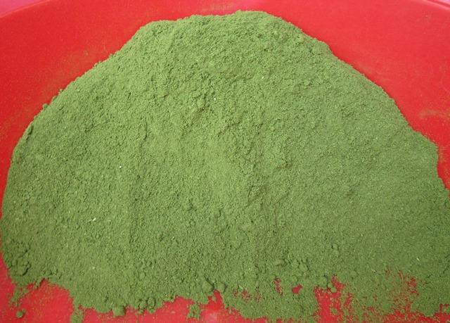 Bột Rau Ngò Rí Cao Cấp