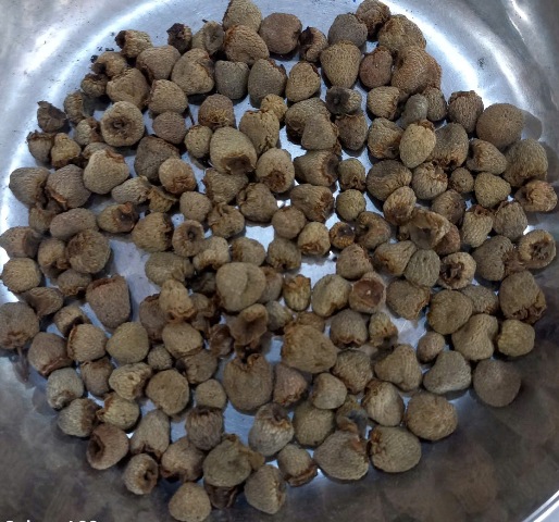 Phúc Bồn Tử(Quả Mâm Xôi) Khô