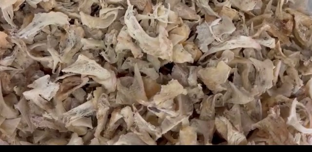 Chân Yến Thô (Chưa Làm Sạch)