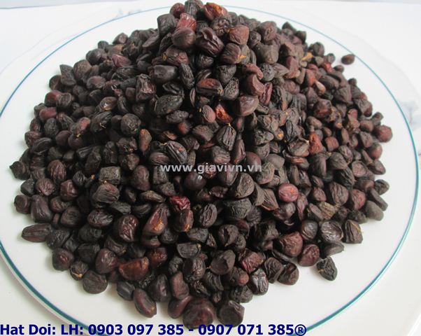 Hạt Dổi Cao Cấp