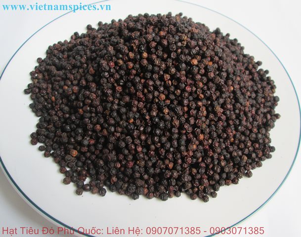 Hạt Tiêu Chín Đỏ Cao Cấp Phú Quốc
