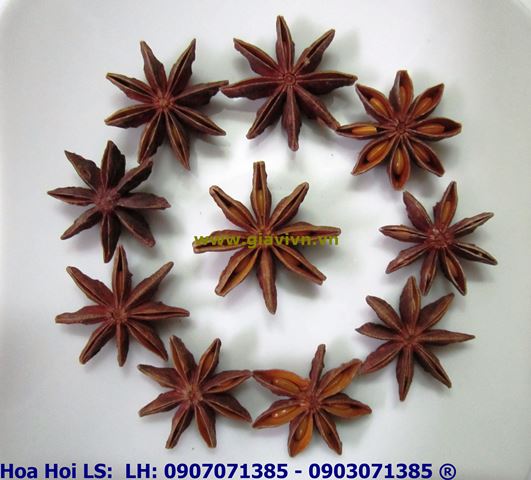 Star Anise Of Viet Nam (Spices For Pho Noodle Cooking)