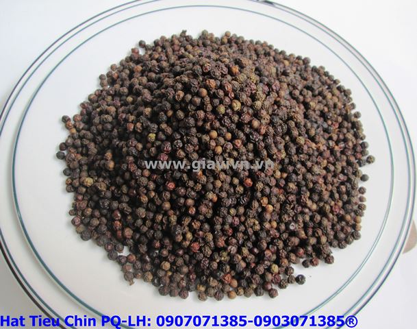 Hạt Tiêu Chín Phú Quốc