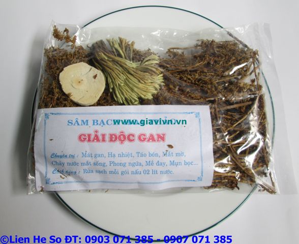 Sâm Bạch Hoa Thảo Phú Quốc (mát gan giải độc)