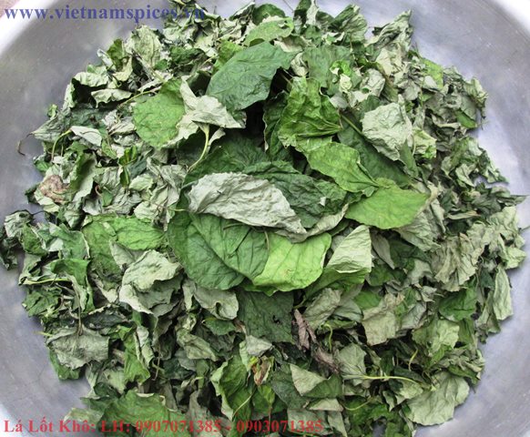 Lá Lốt Khô Hong Gió Cao Cấp