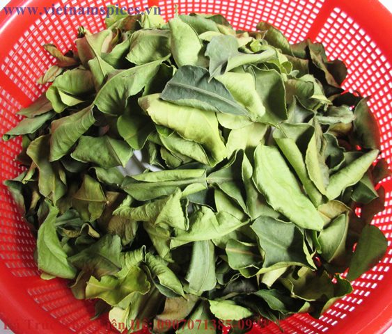 Lá Chanh Thái khô (lá chúc khô)