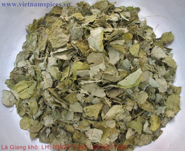 Lá Giang Khô Hong Gió