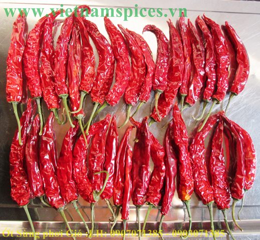 Big Dry Chili with Wind processing technology