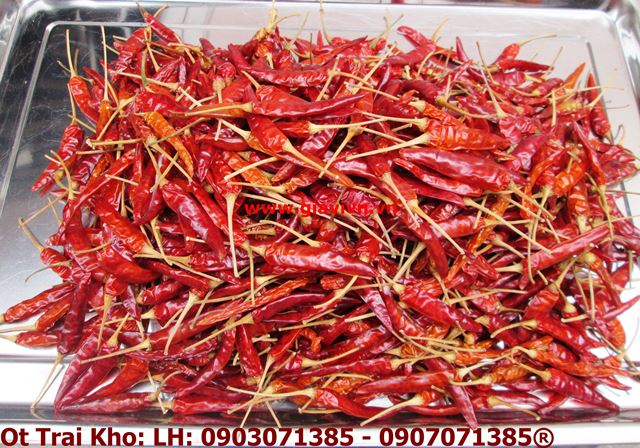  Dried Chili  Of Việt Nam 