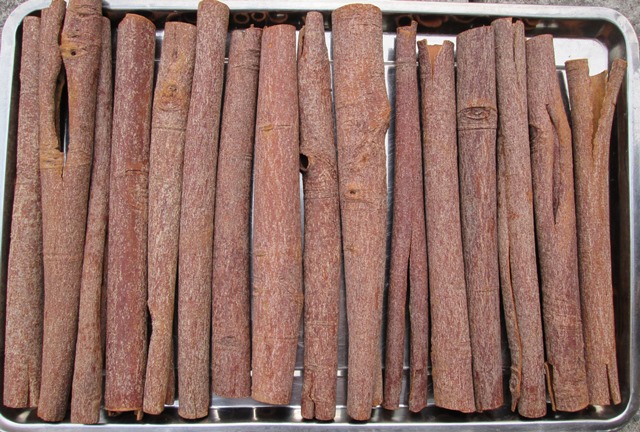 Quế Cây Sạch Cao Cấp