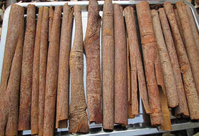 Quế Cây Sạch Dùng Cho Spa- Phòng Khách- Phòng Ngủ