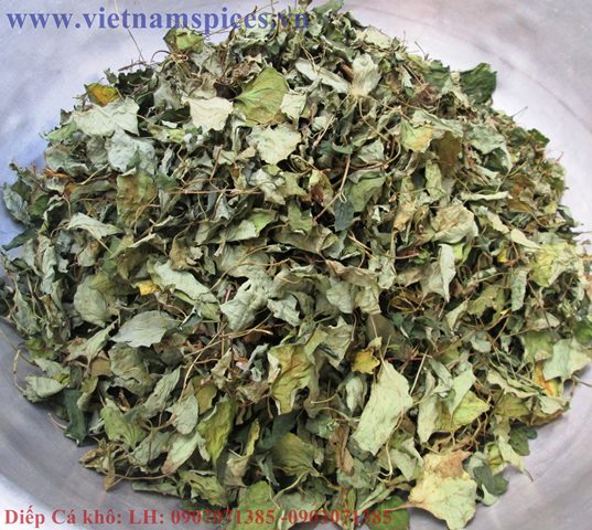 Rau Diếp Cá Hong Gió Khô