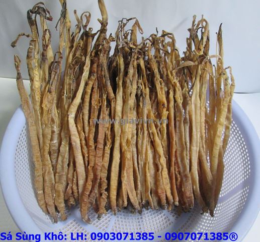 Sá Sùng Khô Cao Cấp Nấu Nước Lèo