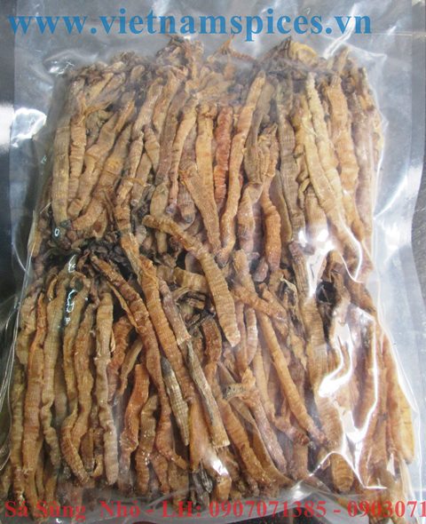 Sá Sùng Khô Loại Nhỏ