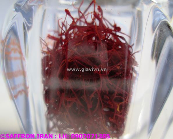 Nhụy Hoa Nghệ Tây Cao Cấp (The Red Gold Of Saffron)