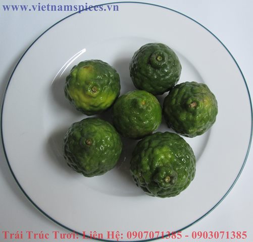 Trái Chanh Thái (Trái  chúc) Tươi