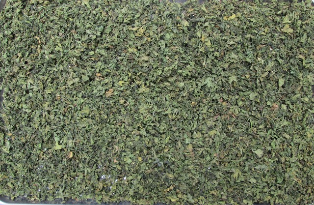 Ngò Rí Khô Hong Gió Cao Cấp